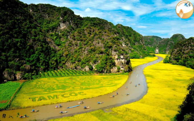 NINH BINH DAY TRIP: HOA LU,MUA CAVES &THUNG NHAM BIRD VALLEY - Culinary Delights: Buffet Lunch Experience