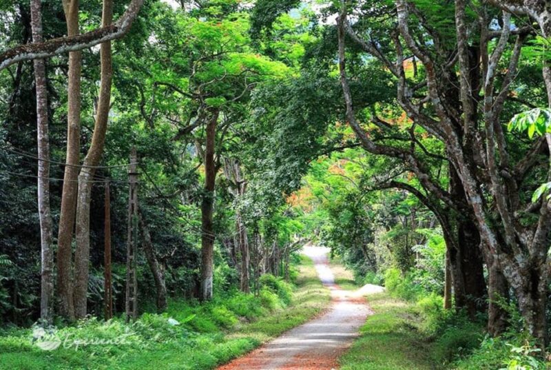 Ninh Binh: Explore Cuc Phuong National Park Full Day - Cuc Phuong National Museum