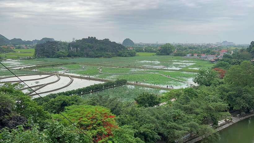 Ninh Binh: Hoa Lu, Tam Coc, Mua Cave Group Tour From Hanoi - Additional Notes and Recommendations