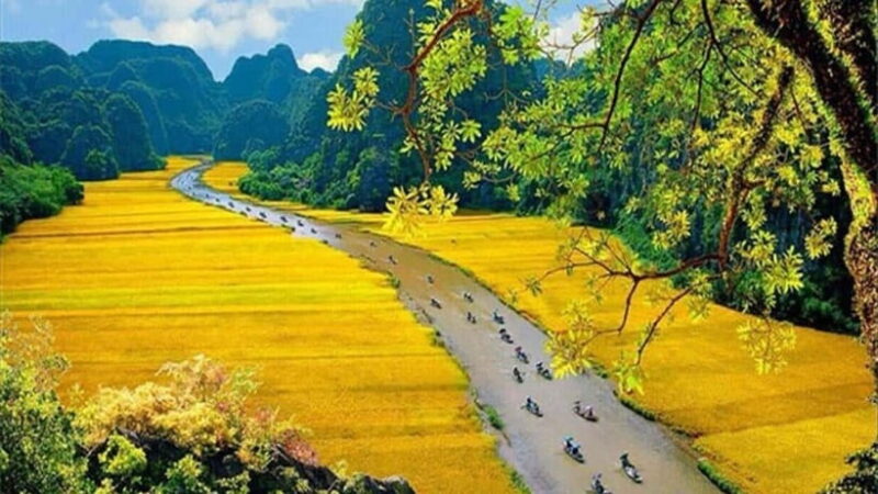 Ninh Binh: Hoa Lu- Trang An- Mua Cave Small Group Daily Tour - Cycling Experience and Lunch