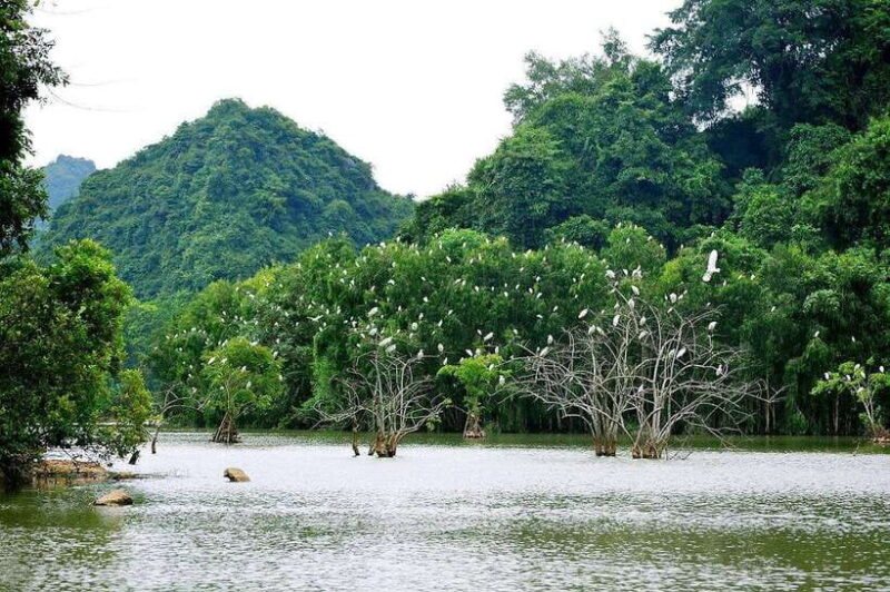 Ninh Binh Jeep Tour: Tam Coc HIGHTLIGHTS & HIDDEN GEMS - Key Points