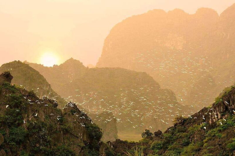 Ninh Binh Jeep Tour: Tam Coc HIGHTLIGHTS & HIDDEN GEMS - Inclusions and Amenities