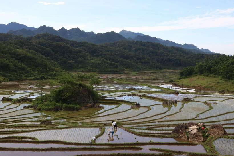 Ninh Binh Luxury Tour: Hoa Lu, Mua Hike, Tam Coc Boat - Transportation and Logistics