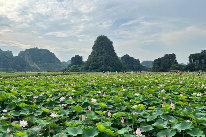 Ninh Binh Private Luxury Discovery - Exclusions