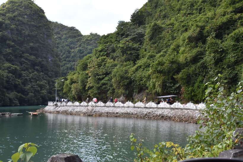 Ninh Binh to Cat Ba: 2days- Lanha Bay Tour-Bike, Kayak,Lunch - Cultural Exploration