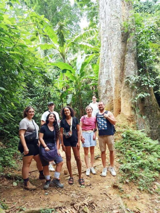 Ninh Binh Tour to Cuc Phuong - Van Long Reserve - Jeep Tours - Important Information for Travelers