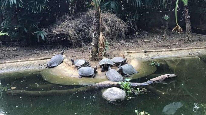 Ninh Binh Tour to Cuc Phuong - Van Long Reserve - Jeep Tours - Frequently Asked Questions