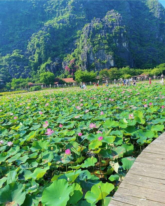 Ninh Binh:Motorbike Tour Countryside Visit and Cooking Class - Overview of the Ninh Binh Motorbike Tour