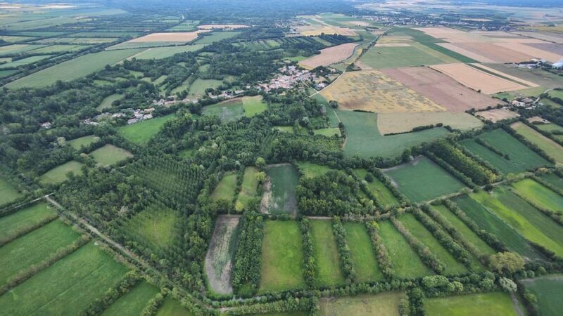 Niort and the Marais Poitevin: Hot-Air Balloon Flight From Coulon - Post-Flight Activities