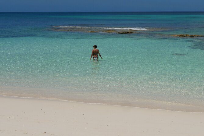 Nirvana Private Beach & Restaurant Round Trip Transportation - Who Will Enjoy This Tour?