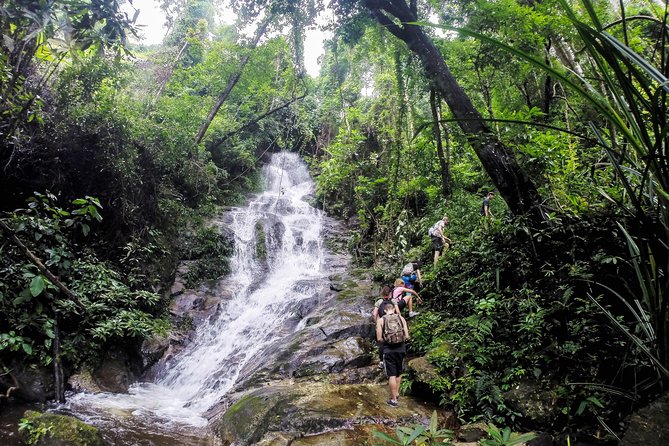 No.1 Chiang Mai: 7-Hour Doi Suthep National Park Summit Hiking - Tour Overview