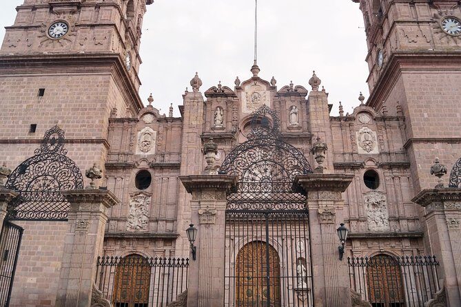 Nocturnal Morelia - Legends - FAQ