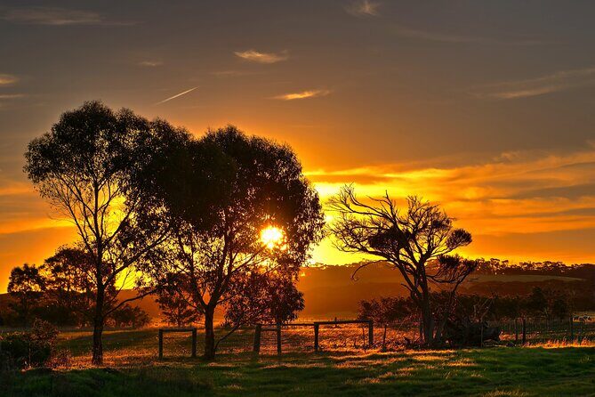 Nocturnal Tour of Kangaroo Island - An Overview of the Tour Structure