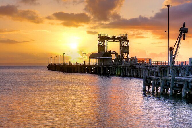Nocturnal Tour of Kangaroo Island - What You Can Expect During the Tour