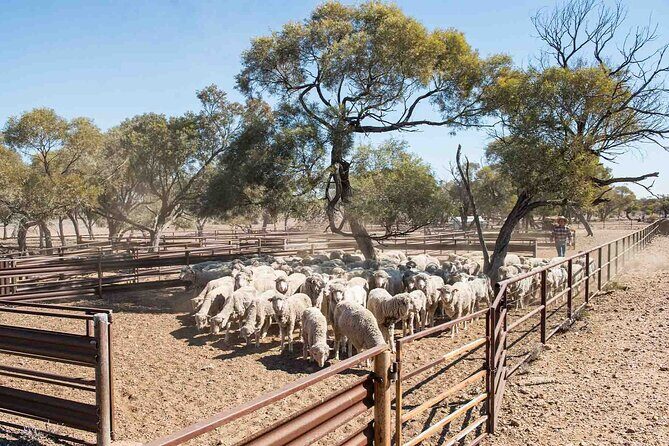 Nogo Station Experience - FAQ