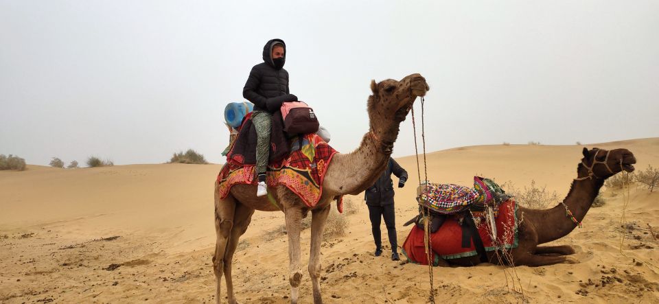 Nomadic Non-Touristic Overnight Camel & Desert Safari Tour - Important Information
