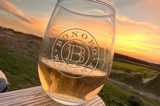 NON-BUS 2 couple / 4 person Traverse City Old Mission Wine Tour - The Sum Up