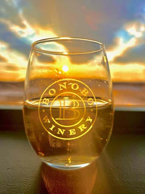 NON BUS 3 Winery Old Mission Peninsula Sunset Wine Tour - An Overview of the Experience