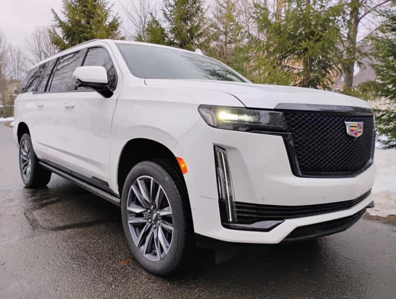 NON BUS VIP Cadillac Escalade Old Mission Traverse Wine Tour - Who Should Consider This Tour?