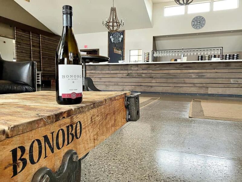 NON BUS VIP Red Wine Lovers Old Mission Traverse Wine Tour - Final Thoughts