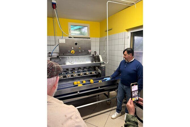 Nonno Mario Sorrento Lemon tour - Key Points