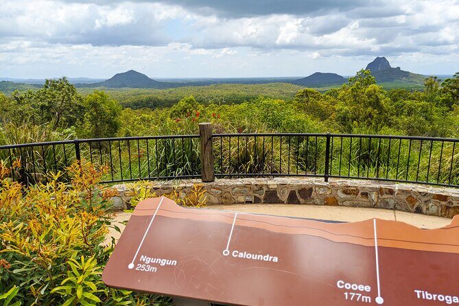 Noosa, Aussie Animals & Glass House Mountains from Brisbane - The Sum Up