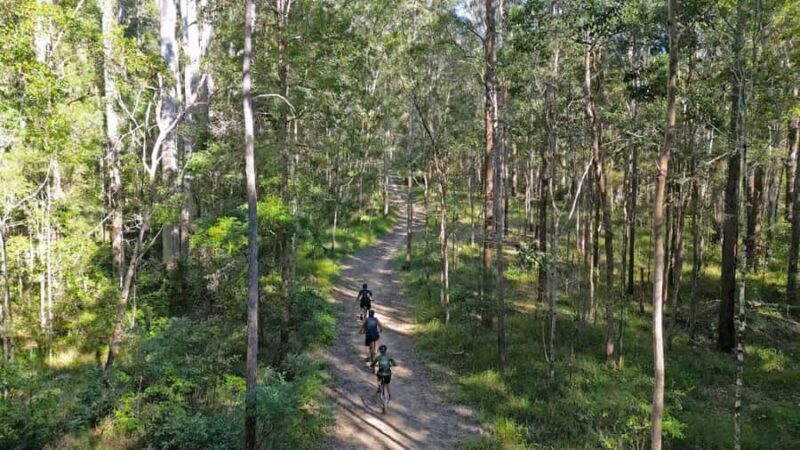 Noosa Biosphere Trails  Guided eMountain Bike Tour - Discovering the Natural Beauty of Noosa Hinterland