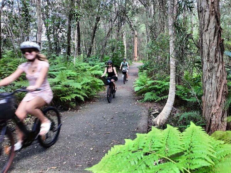 Noosa: E-Bike Tour from Mt Tinbeerwah to Noosa - Key Points