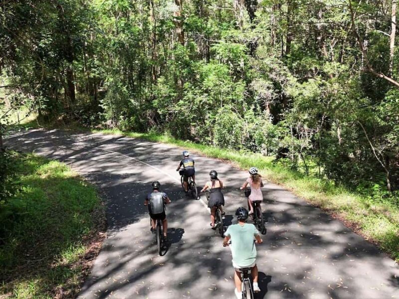 Noosa: E-Bike Tour from Mt Tinbeerwah to Noosa - A Closer Look at the Noosa E-Bike Tour