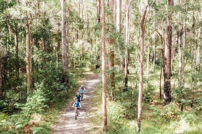 Noosa eMtn Bike Tour: Exploring a National Park on Fun MTB Trails - Noosa eMtn Bike Tour: Exploring a National Park on Fun MTB Trails
