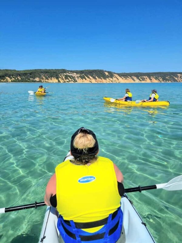 Noosa: Epic Ocean Kayak with Dolphins & 4WD Beach Adventure - An In-Depth Look at the Tour