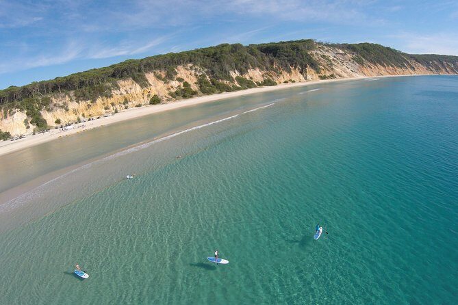 Noosa: Epic Stand Up Paddle Wildlife & Beach 4X4 Adventure - Key Points