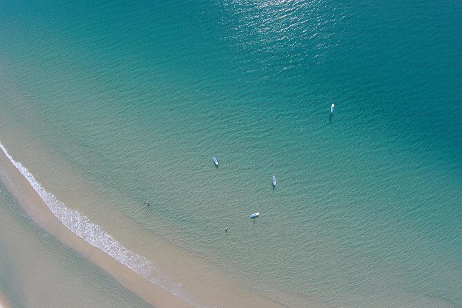 Noosa: Epic Stand Up Paddle Wildlife & Beach 4X4 Adventure - An In-Depth Look at the Tour Experience