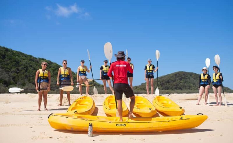 Noosa: Epic Whale Watching Ocean Kayak Tour & Beach 4X4 - Final Thoughts: Who Should Consider This Tour?