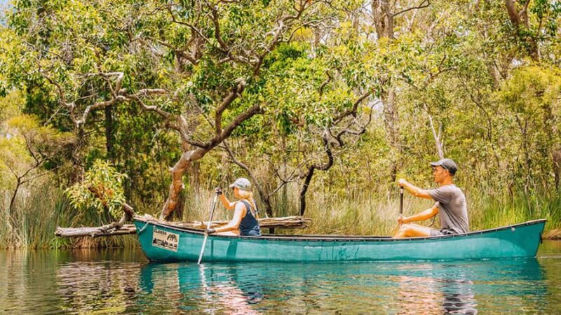 Noosa: Everglades Explorer Cruise - What makes this experience special?