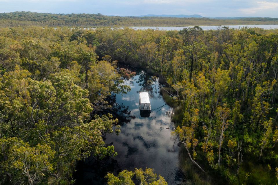 Noosa: Everglades Explorer Cruise With Optional Canoeing - Important Information