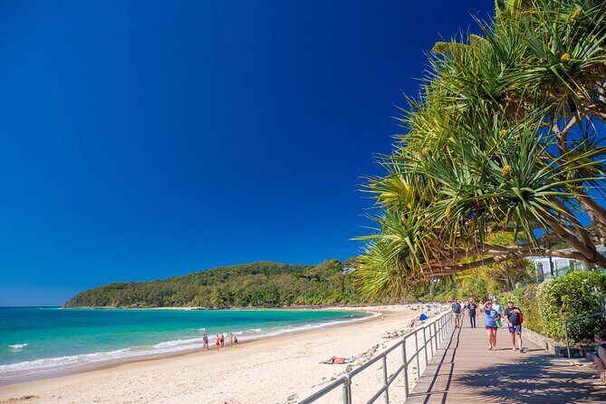 Noosa Heads and Eumundi Markets Private Tour from Brisbane - Introduction