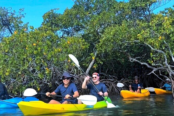 Noosa Heads: Epic Hidden Waterways & Wildlife Kayak Tour - An In-Depth Look at the Experience