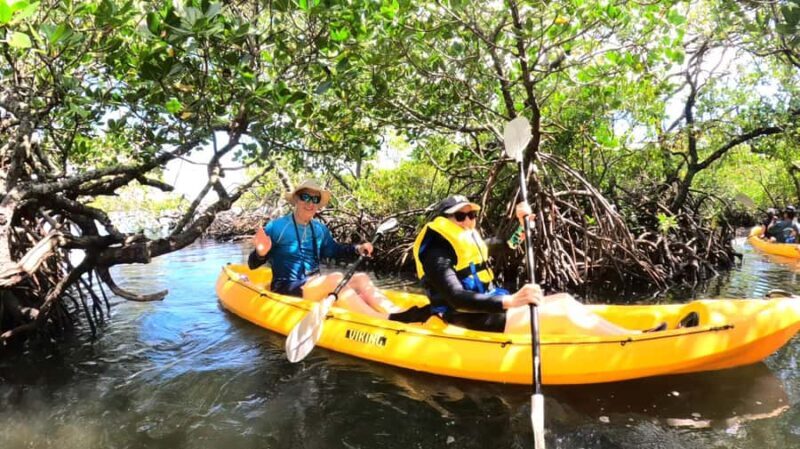 Noosa Heads: Hidden Waterways Wildlife Kayak (Fully Guided) - In-Depth Breakdown: The Itinerary