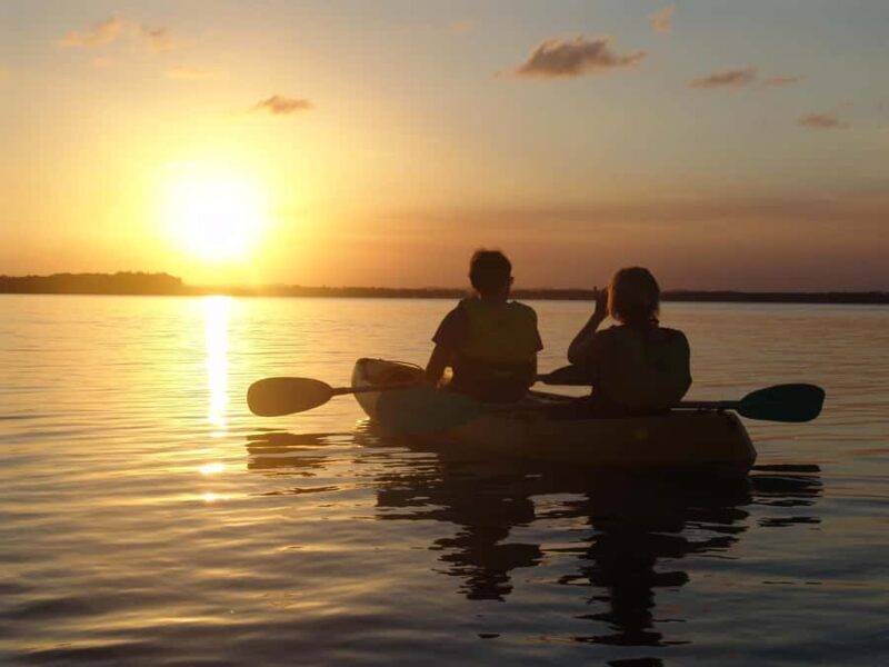 Noosa Heads: Hidden Waterways Wildlife Kayak (Fully Guided) - FAQs