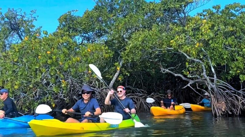 Noosa Heads: Hidden Waterways Wildlife Kayak (Self-Guided) - What to Expect from the Noosa Waterways Kayak Tour