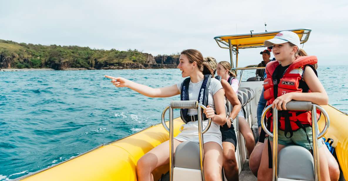 Noosa Heads: Ocean Rider Dolphin Safari - Key Points