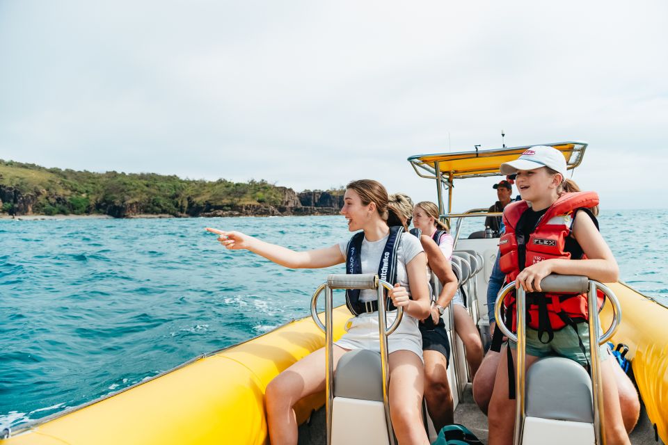Noosa Heads: Ocean Rider Dolphin Safari - Pricing Information