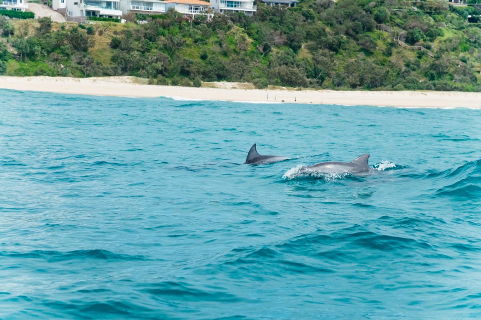 Noosa Heads: Ocean Rider Dolphin Safari - Tour Duration