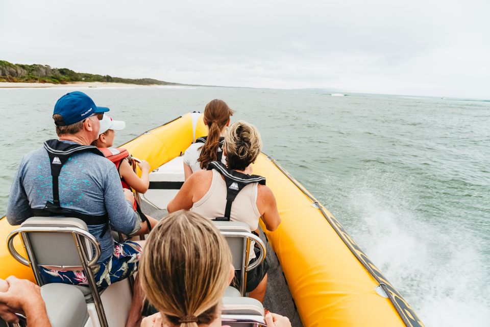 Noosa Heads: Ocean Rider Dolphin Safari - Inclusions