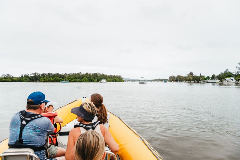 Noosa Heads: Ocean Rider Dolphin Safari - Customer Reviews