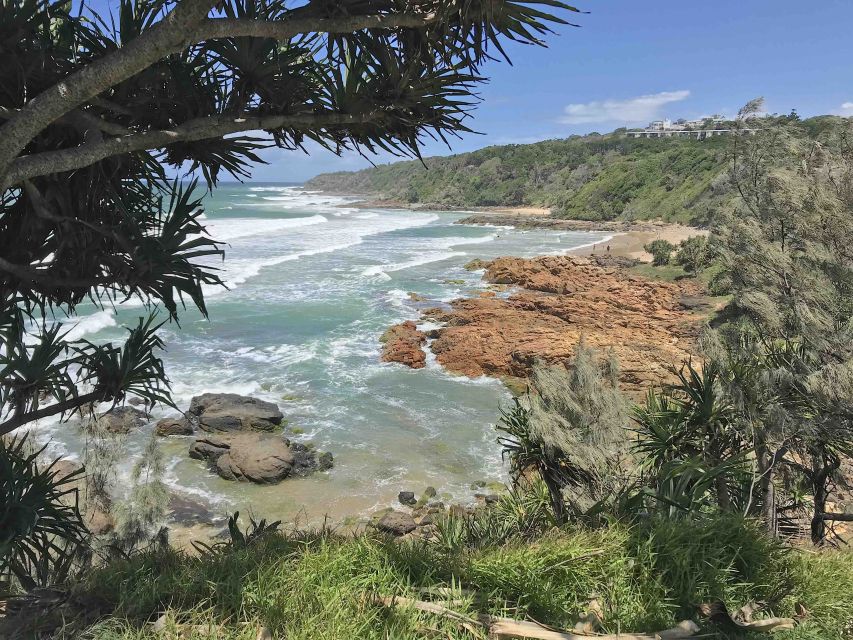 Noosa: Hidden Beach & Hilltop Walks Private Day Tour & Lunch - Key Points