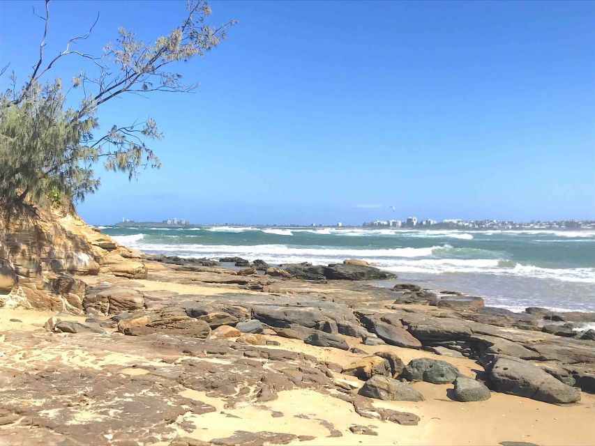 Noosa: Hidden Beach & Hilltop Walks Private Day Tour & Lunch - Highlights