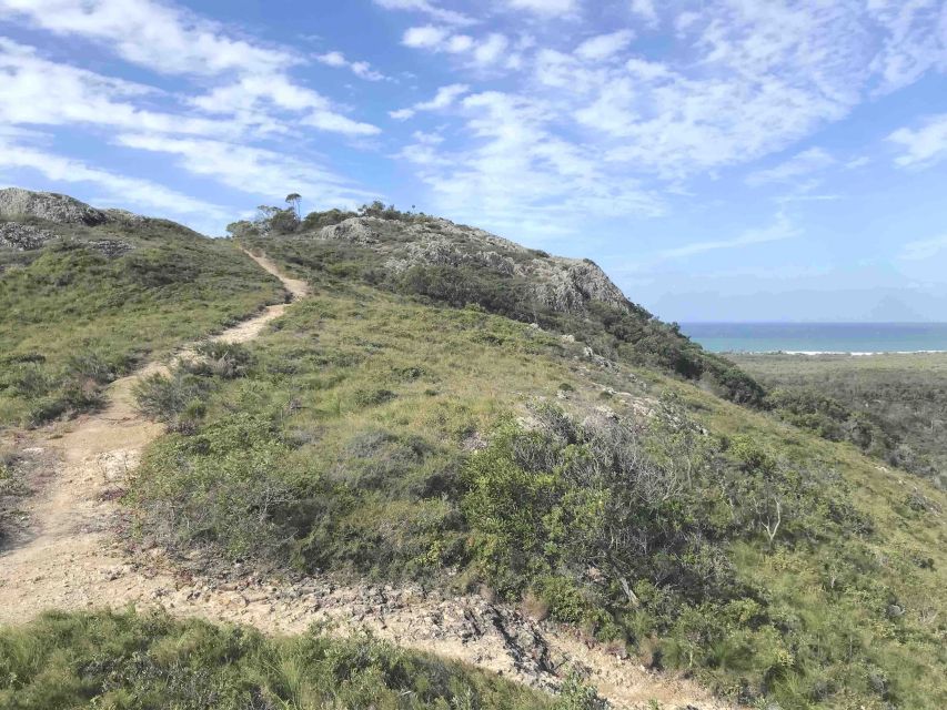 Noosa: Hidden Beach & Hilltop Walks Private Day Tour & Lunch - Background