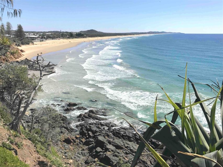 Noosa: Hidden Beach & Hilltop Walks Private Day Tour & Lunch - Recap